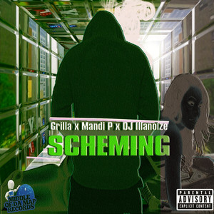 Scheming (Radio Edit)