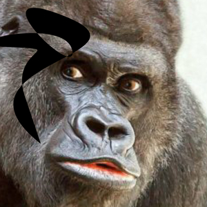 Idę Do Zoo