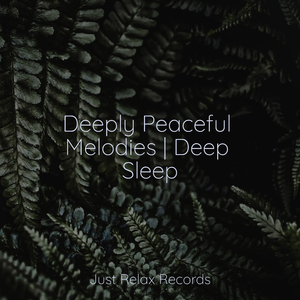 Whispers of the Desert's Glow