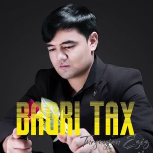Bagri Tax（石心）