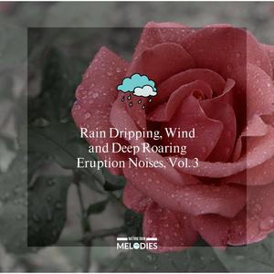 Warmish Moderate Rain Dripping