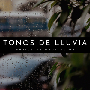 Cuenco Tranquilos En Loop