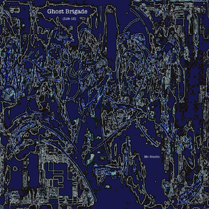 Ghost Brigade (Life 13)