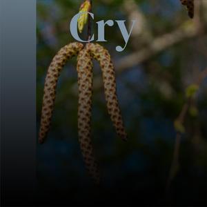 How Many Teardrops Will It Take