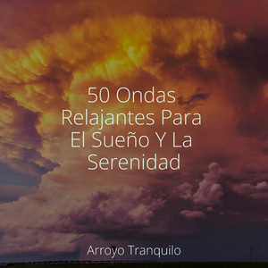 Serenidad Junto Al Fuego