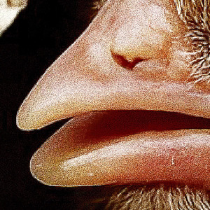 영원이라는 단어는 없는거니까