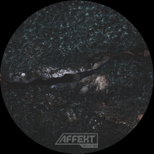 Paradigma (Original)