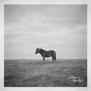 Ponyhof