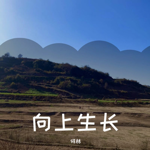 向上生长（纯音乐）