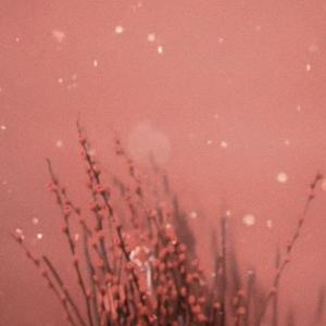 情难枕（痴心换情深）片段