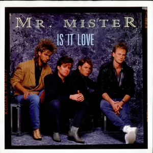 Is It Love [Dub Mix]