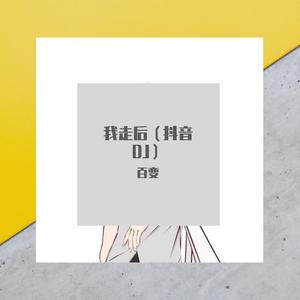 小咪-我走后（抖音版DJ）（百变 remix）