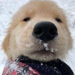 PAND（雾散 remix）