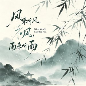 风来听风雨来听雨