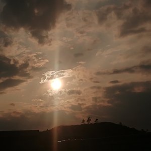 五月