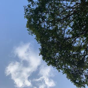 李佳隆-BERRY（O.W. remix）