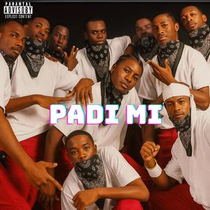 PADI MI