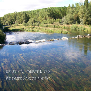 Winding Meadow Streams