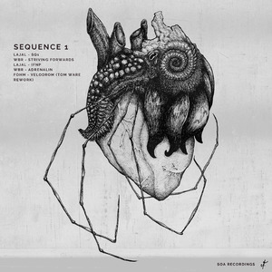 Velodrom (Tom Ware Rework)