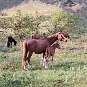 Равновесие