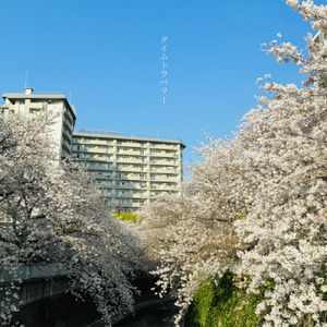 さよならバイバイ、愛した人へ。