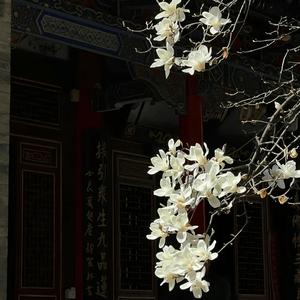 为什么那么痛还拿胸口去档