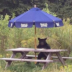 【Free】 GutIar Type Trap Beat“辰巳 ”