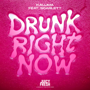 Drunk Right Now (Na Na Na)