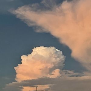 Love Story-尤克里里弹奏版