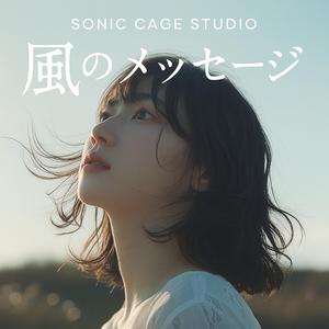 風のメッセージ