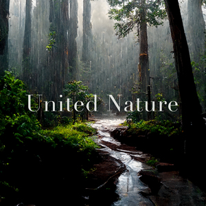 Meditative State (Rain)