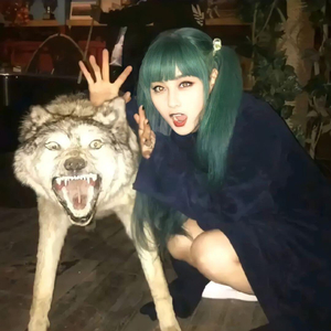 真诚不给无心人