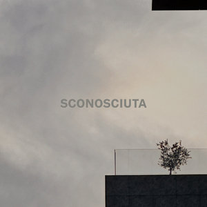 Sconosciuta