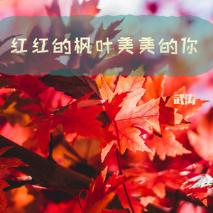 红红的枫叶美美的你