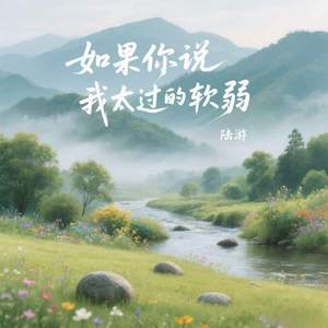 如果你说我太过的软弱