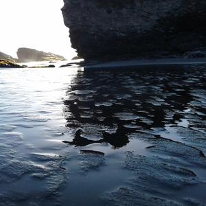 Aquarenosa