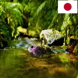 森の中の小さな川の音