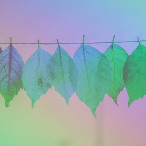 Herbstkinder