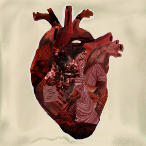 acıyı sevdirdin bana