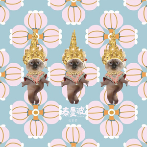 泰曼波（哈基米）（DJ黄周豪版）溺水版