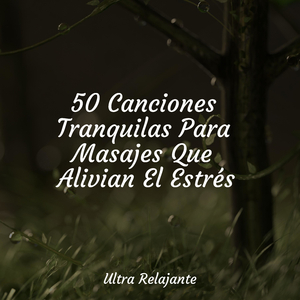 Meditación De Marea Lapeante