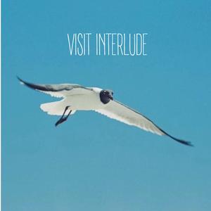 Visit (Interlude) (feat. Motion Mike)