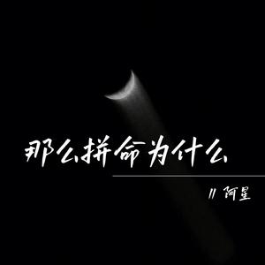 那么拼命为什么