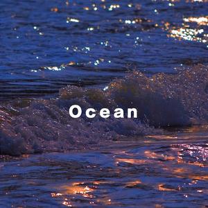【FREE】Ocean