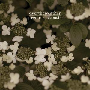 greentree (acoustic) (Acoustic) (Acoustic)