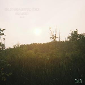 Old Habits Die Hard (7" Mix)