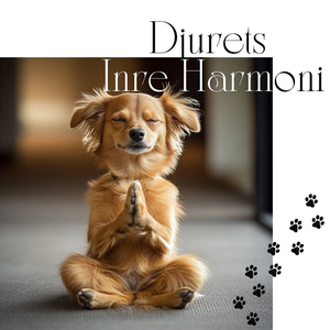 Holistisk Djurläkning