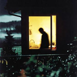 Kitchen Window