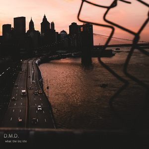 what the biz life (Instrumental)
