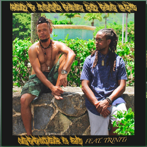 Can't Keep This on the Low (feat. Triniti)